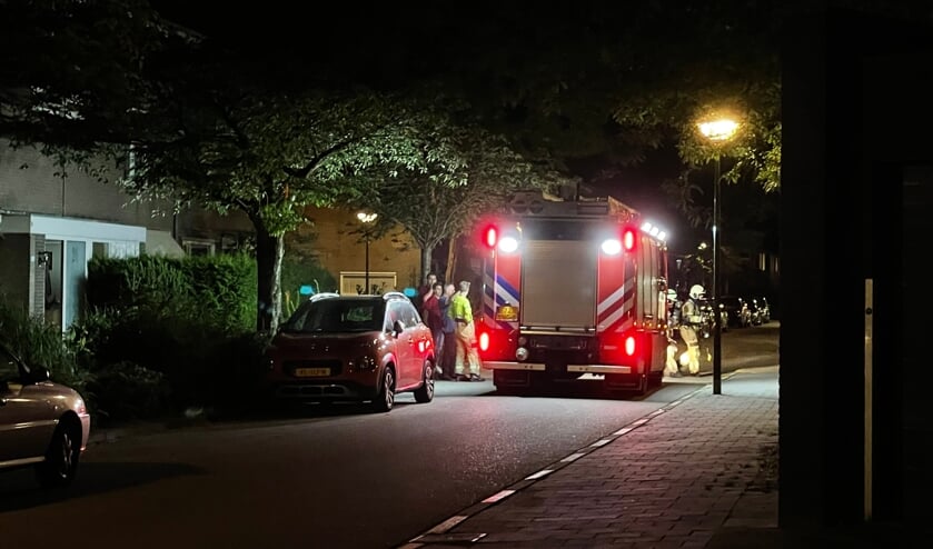 Buurtbewoners bellen brandweer voor rookmelder in flat.