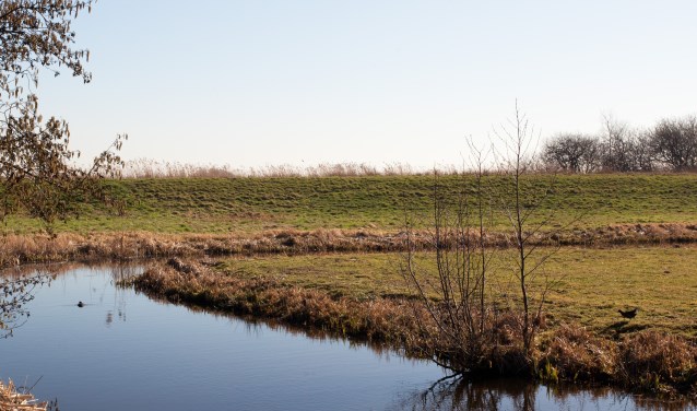 Bij de Prinsendijk is de bodemdaling van de polder Oukoop goed zichtbaar. Beeld: Bert Verver