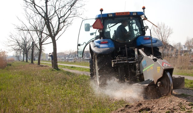 De boomstobben worden weggefreesd om plaats te maken voor nieuwe aanplant.