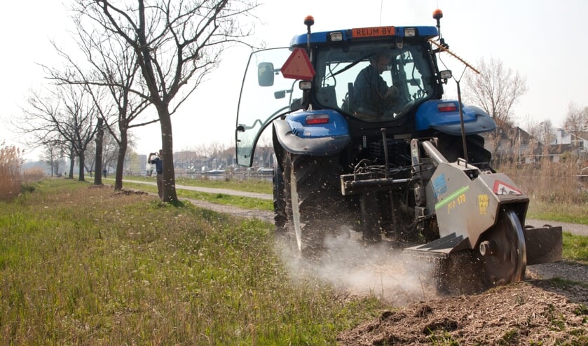 De boomstobben worden weggefreesd om plaats te maken voor nieuwe aanplant.