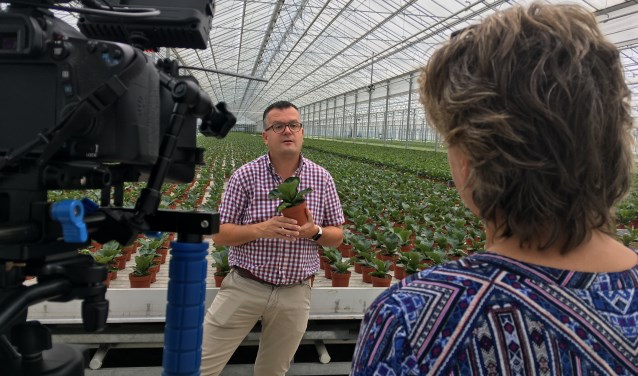 In de eerste aflevering komt aan bod hoe CO2 uit de Rotterdamse haven in de kassen van Bunnik Plants wordt omgezet in zuurstof.