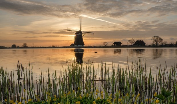 Foto: Martijn Roos