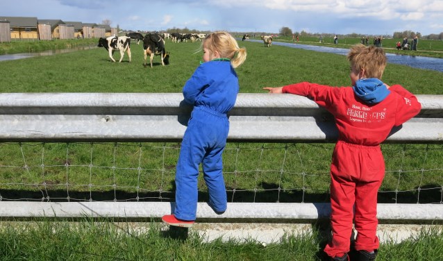 Bij boer Dirk ontdek je alles over het leven op de boerderij. (Foto: Sanne Luijben)