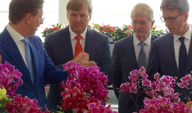 De Koning vraagt naar het wezenlijke verschil tussen de vele planten die te zien zijn.