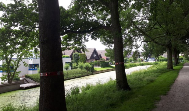 (Foto: Dennis Zegers/Gemeente Lansingerland)