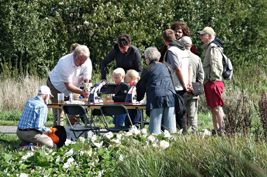 Foto: Lotty Sonnenberg