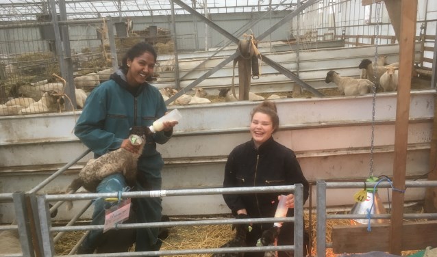 Stagiaires Risheeka (links) en Imke helpen Martin voor,
na en tijdens de bevalling.