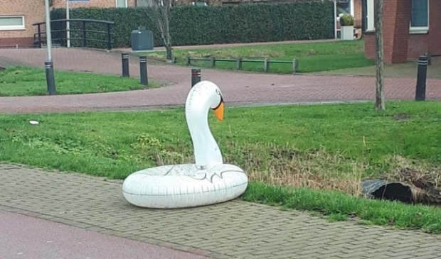 Foto: Twitter/@Wijkagent_Roos