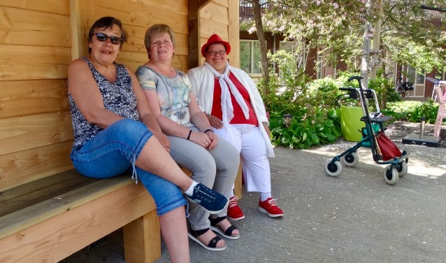 Joke, Anneke en Rosemarie poseren trots bij de blokhut, de nieuwste aanwinst in de tuin.