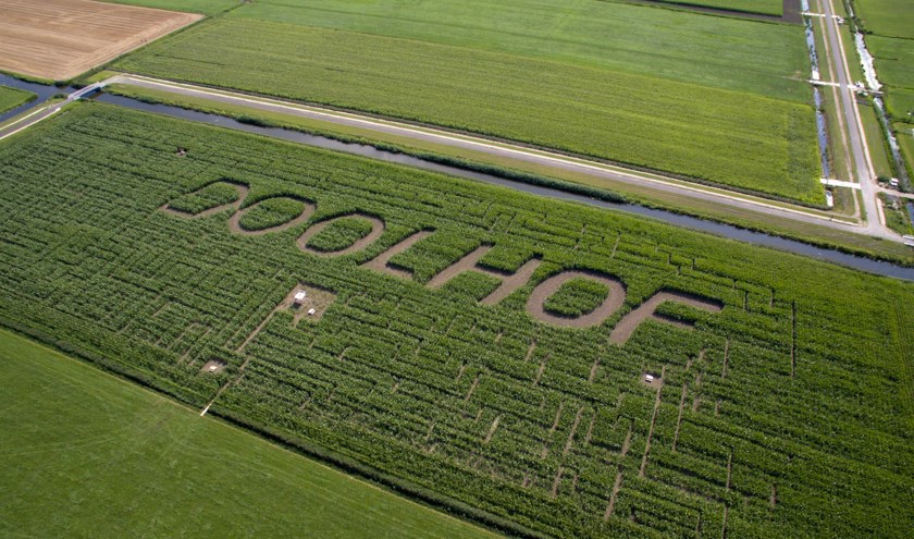 Doolhof Nederland; van grootste maisdoolhof tot labyrinth - Reisliefde