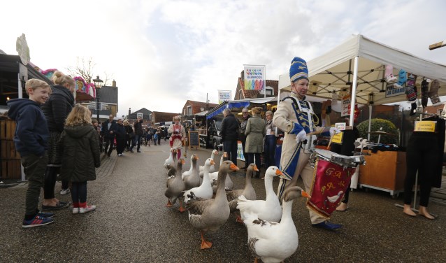 De ganzen trokken weer bekijks. Foto: fotoSJORS