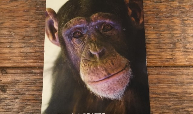 'Bedankt!'