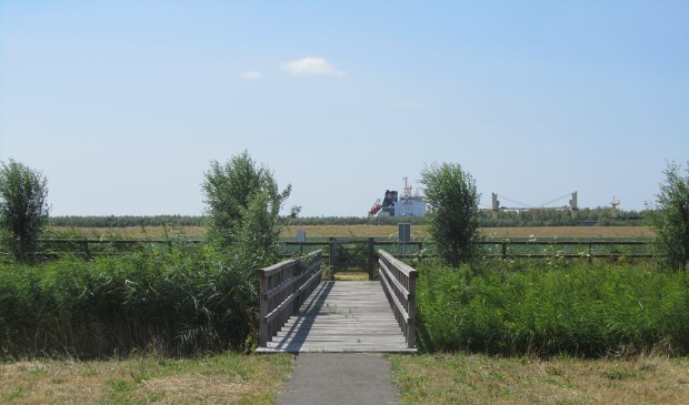 Riet, graslanden en water vormen het landschap van Het Buitenland. Foto: Bergarde Galleries.