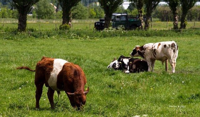 De Buytenhof daagt amateurfotografen uit.