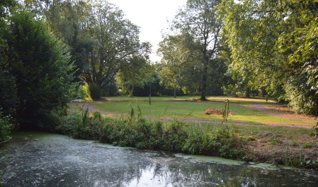 Op 25 juli had De Kulk weer normaal peil na een maand van droogte