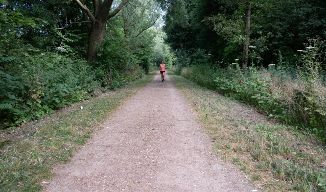 De trimbaan bij de Oude Maas is een prachtig natuurgebied.