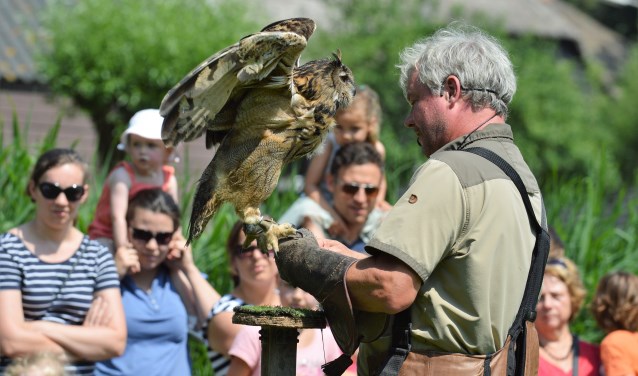 Er is ook weer een roofvogelshow op de kinderboerderij