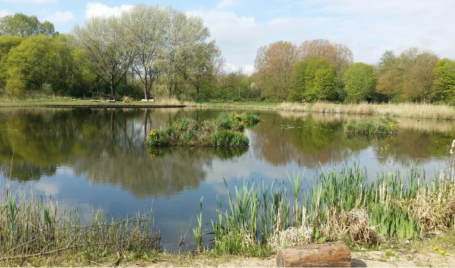 Op 30 juli wordt er door het bomenrijke Reijerpark gewandeld