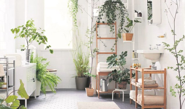 Hart van rijssen ga voor groen in huis Groen in huis