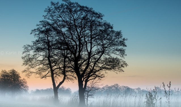 Er was mist in de Mepperhooilanden