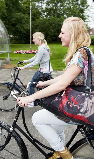 Werk in opdracht