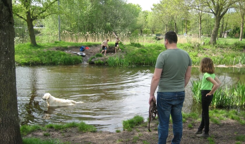 Hondenpark In Veenendaal Houdt De Gemoederen Bezig - Oozo.nl