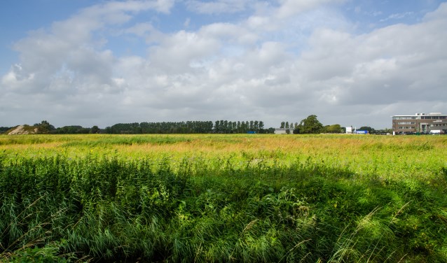 Het terrein aan de Bemmer | Fotonummer: 20587d