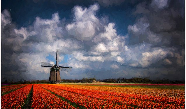 Een van de werken van Niek de Jongh | Fotonummer: ef3b75