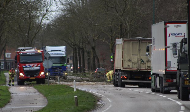 De brandweer moest er o.a. aan te pas komen op de Gemertseweg, waar een flinke boom/tak op de weg lag | Fotonummer: b93fa6