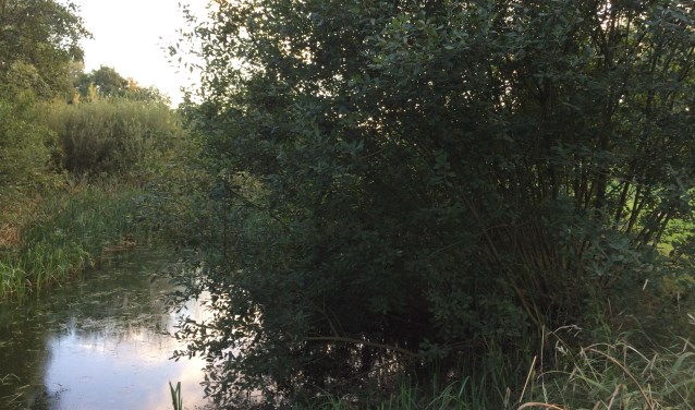 Een van de vele mooie plekjes die in dit ouderwetse landschap aanwezig zijn | Fotonummer: 239800