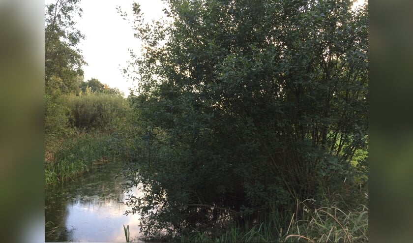 Een van de vele mooie plekjes die in dit ouderwetse landschap aanwezig zijn | Fotonummer: 239800