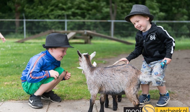 Archieffoto Open dag Dierenpark Regter Eind | Fotonummer: 073d32