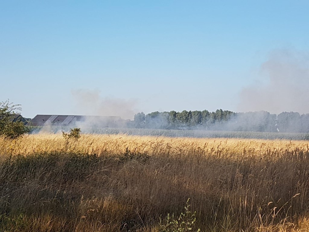 Flinke bosbrand Torrenven Mariahout | Fotonummer: a57e3d