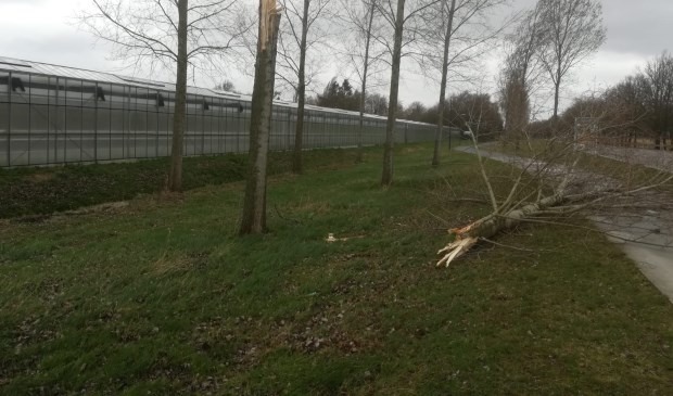 Kanaaldijk Noord in Aarle-Rixtel | Fotonummer: ed1ffc