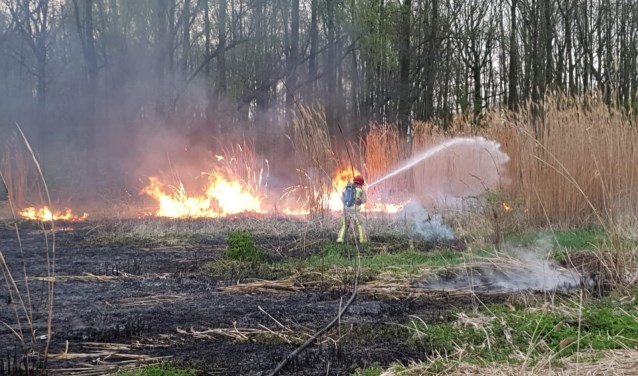 De buitenbrand aan de Opstal op 9 april | Fotonummer: 9b4917