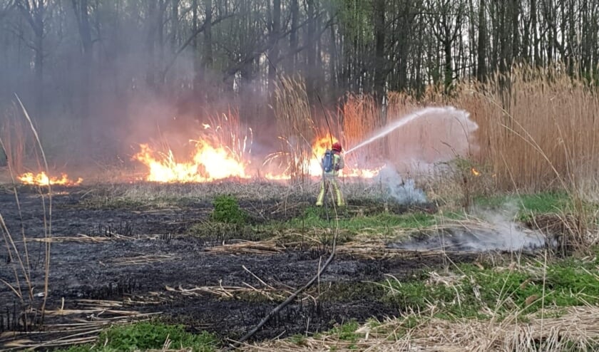 De buitenbrand aan de Opstal op 9 april | Fotonummer: 9b4917