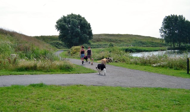 De gemeente Oegstgeest gaat in het grootste deel van het gebied rond de Klinkenbergerplas een permanente aanlijnplicht invoeren. De hondenvrienden verzetten zich hiertegen. | Foto Willemien Timmers