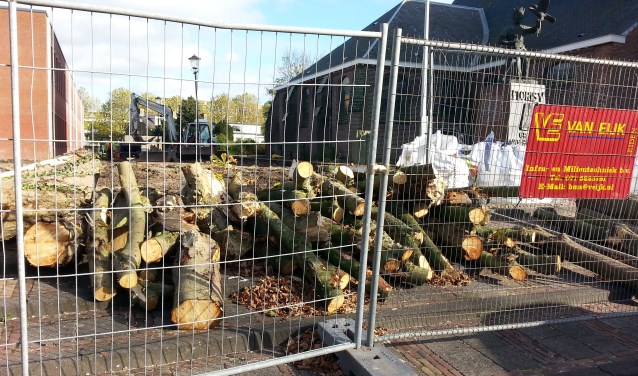 Bomen, stenen en struiken worden verwijderd voor de herinrichting van het Mausoleum. | Foto: CvdS.