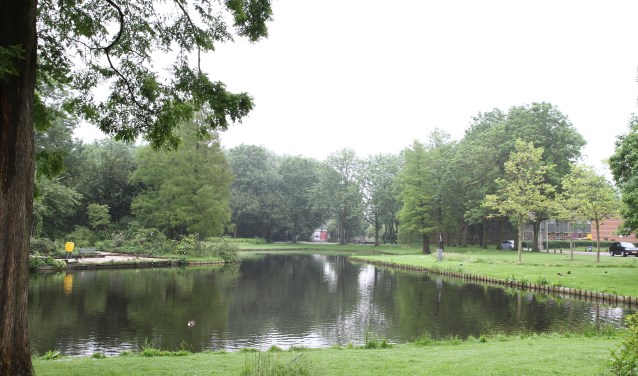 Lisse won dit jaar de verkiezing Groenste dorp van Nederland. Het grootste deel van de gemeenteraad voelt er niets voor deze verkiezing ook nog op Europees niveau in te gaan. Daar is namelijk al snel 50.000 euro voor nodig.