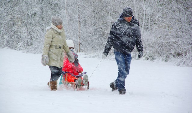 Winterse taferelen in het Vroege Vogelspark. | Foto Willemien Timmers