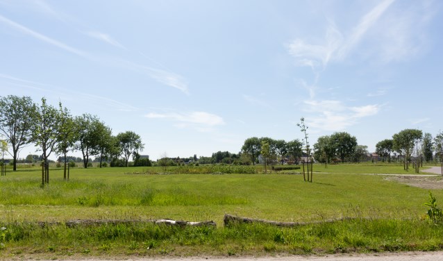 Slechts een strook van Park Landskroon was volgens de wethouder bedacht als losloopgebied. | Archieffoto Wil van Elk