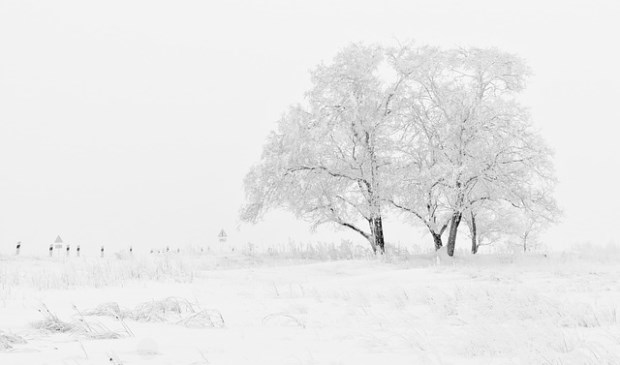 Gezocht: mooie winterse plaatjes voor in de krant | Foto: pr