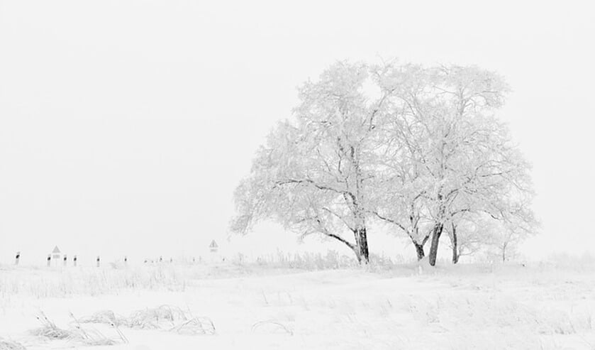 Gezocht: mooie winterse plaatjes voor in de krant | Foto: pr