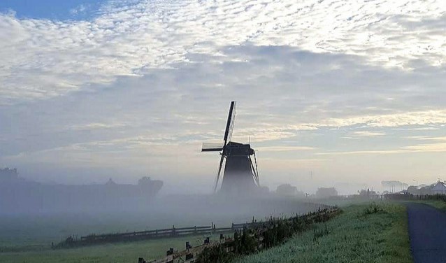 Een rondje Poelpolder is niet compleet zonder de molen. |