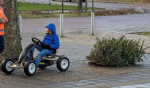 Prima manier om een kerstboom naar het inzamelpunt te brengen! | Archieffoto: J.P. Kranenburg