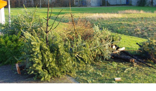 Oude kerstbomen kunnen ook dit jaar door kinderen bij de gemeente worden ingeleverd. | Archieffoto Willemien Timmers