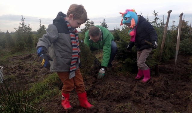 Boombrengers kunnen op woensdag- en zaterdagmiddag hun boom zelf planten in het kerstbomenasiel.