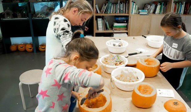 Een heel karwei: de pompoen moet eerst helemaal uitgehold worden voor er een lantaarn van gemaakt kan worden.