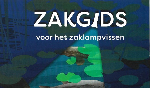Vissen kan nu ook met een zaklamp.