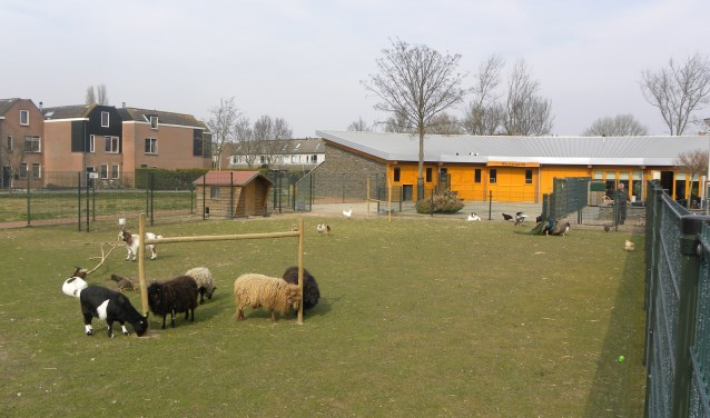 Zaterdagmiddag a.s. is er een speciale dierendag openstelling.